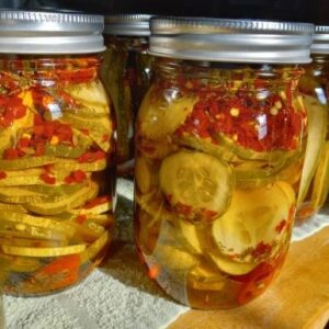 Hot Dill Chips