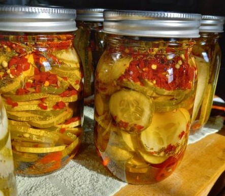 Hot Dill Chips