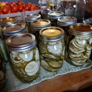 Dill Pickle Chips
