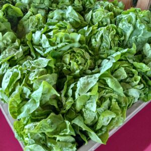 Farm Fresh Produce