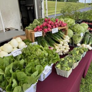Weekly Winter CSA