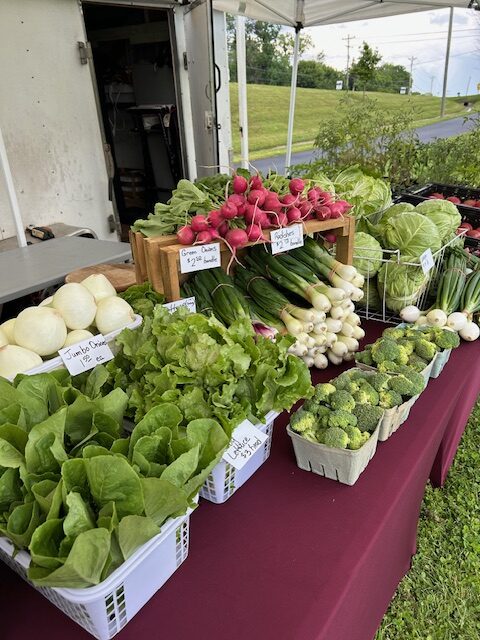 Weekly Winter CSA