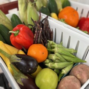 2026 Summer Bi-Weekly CSA