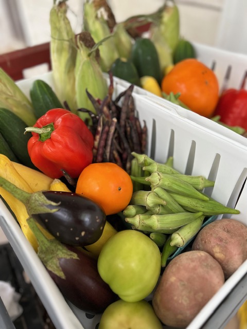 2026 Summer Bi-Weekly CSA