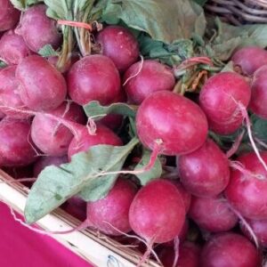 Bi-Weekly Winter CSA