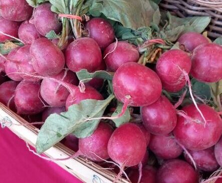 Bi-Weekly Winter CSA